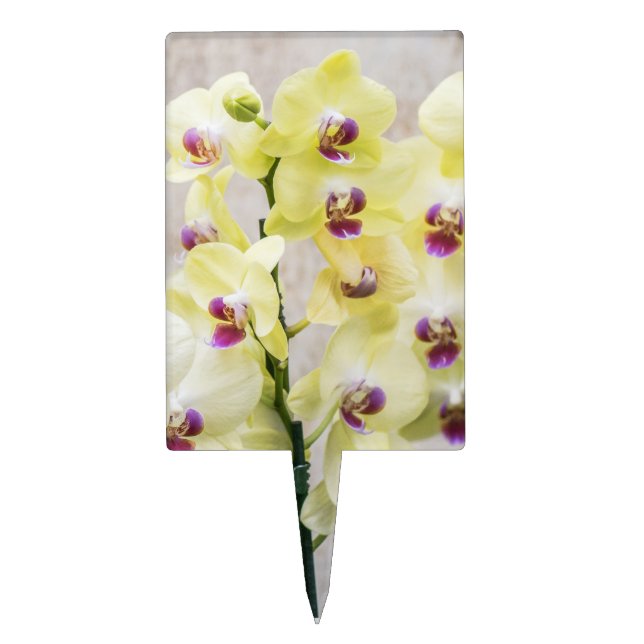 Elegant Romantic Cream & Lilac Orchids Cake Topper (Front)