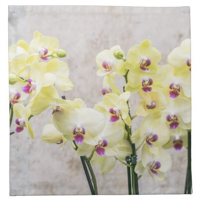 Elegant Romantic Cream & Lilac Orchids Cloth Napkin (Front)
