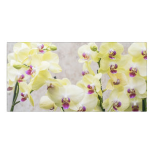 Elegant Romantic Cream & Lilac Orchids Door Sign