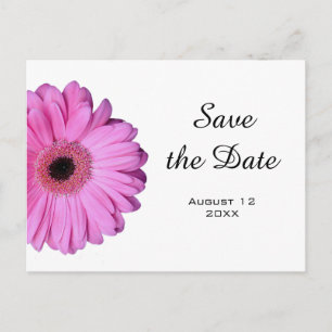 Elegant Romantic Pink Gerbera Daisy Announcement Postcard