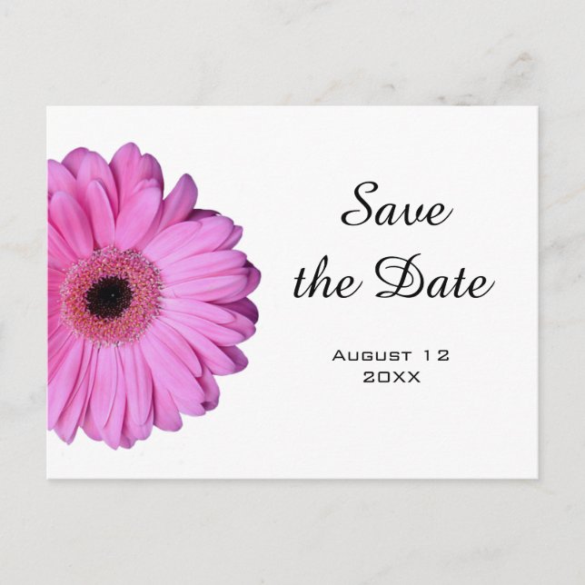 Elegant Romantic Pink Gerbera Daisy Announcement Postcard (Front)