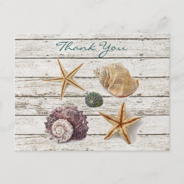 elegant romantic seashells beach wedding thank you postcard (Front)