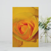 elegant romantic Yellow Rose close up (Standing Front)