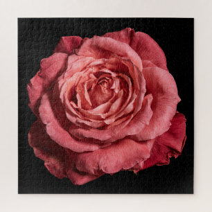 Elegant Rose Collection on Black Jigsaw Puzzle