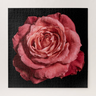 Elegant Rose Collection on Black Jigsaw Puzzle