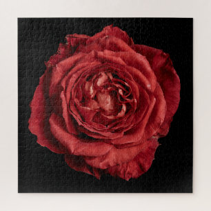 Elegant Rose Collection on Black Jigsaw Puzzle