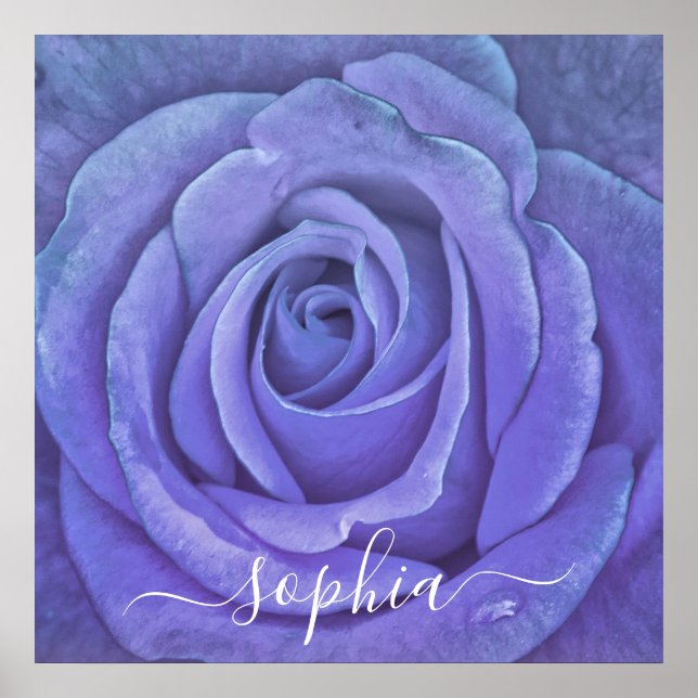 Elegant Rose Flower Photo Add Name Poster (Front)