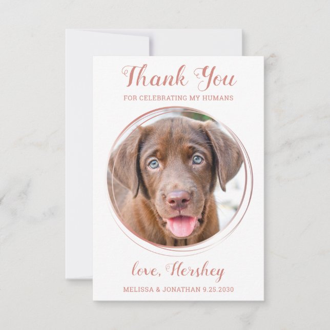 Elegant Rose Gold Custom Dog Photo Pet Wedding  Thank You Card (Front)