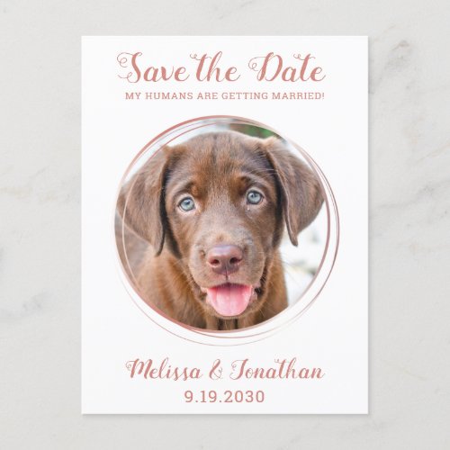 Elegant Rose Gold Custom Pet Photo Dog Wedding  Announcement Postcard