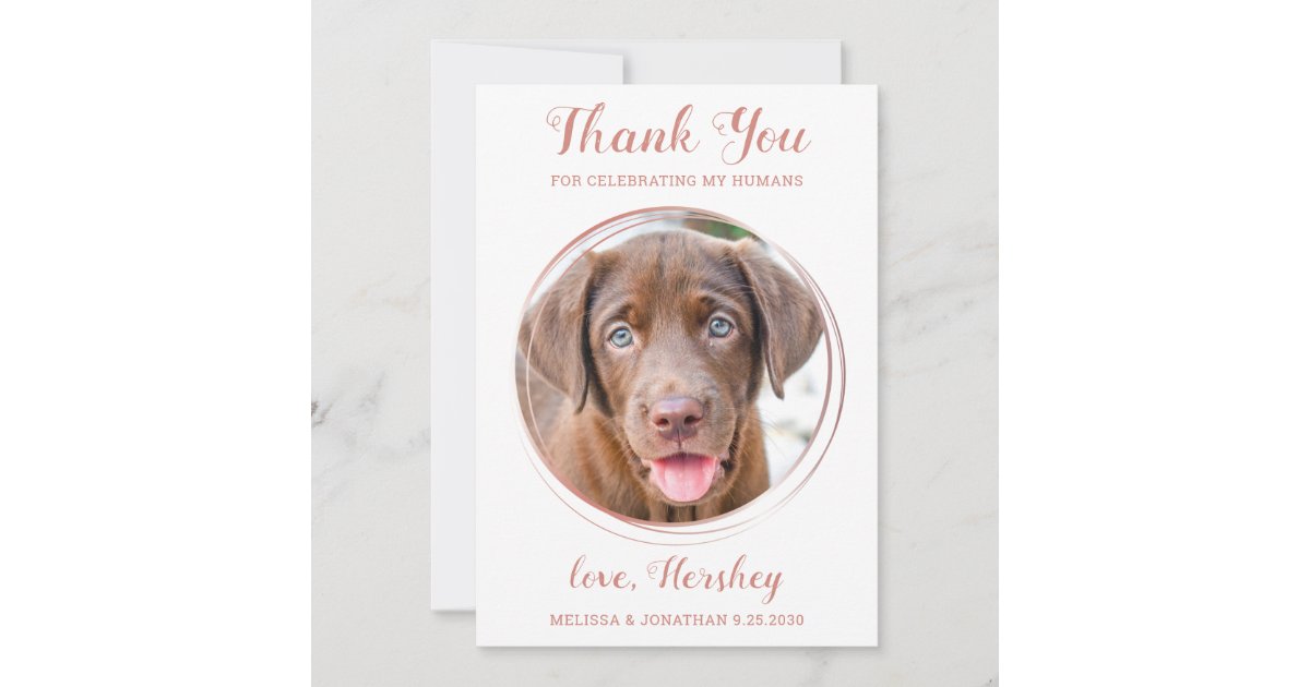 Elegant Rose Gold Custom Pet Photo Dog Wedding Thank You Card | Zazzle
