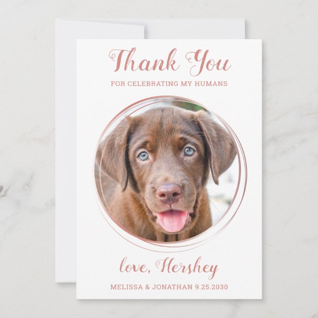 Elegant Rose Gold Custom Pet Photo Dog Wedding  Thank You Card (Front)