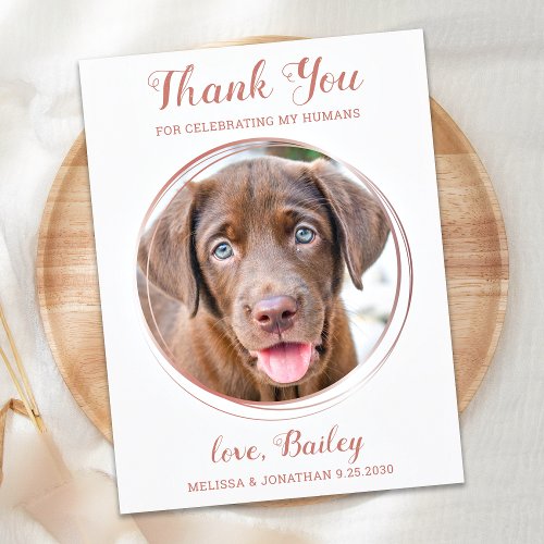 Elegant Rose Gold Pet Dog Wedding Thank You Postcard