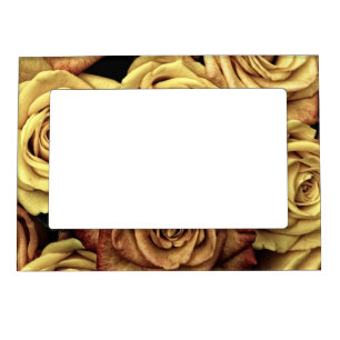 Elegant Rose Magnetic Frame