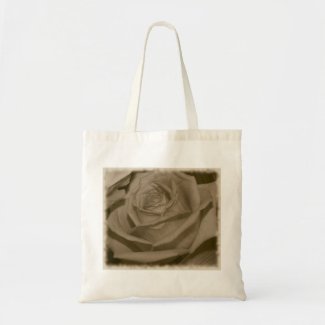 Elegant Rose