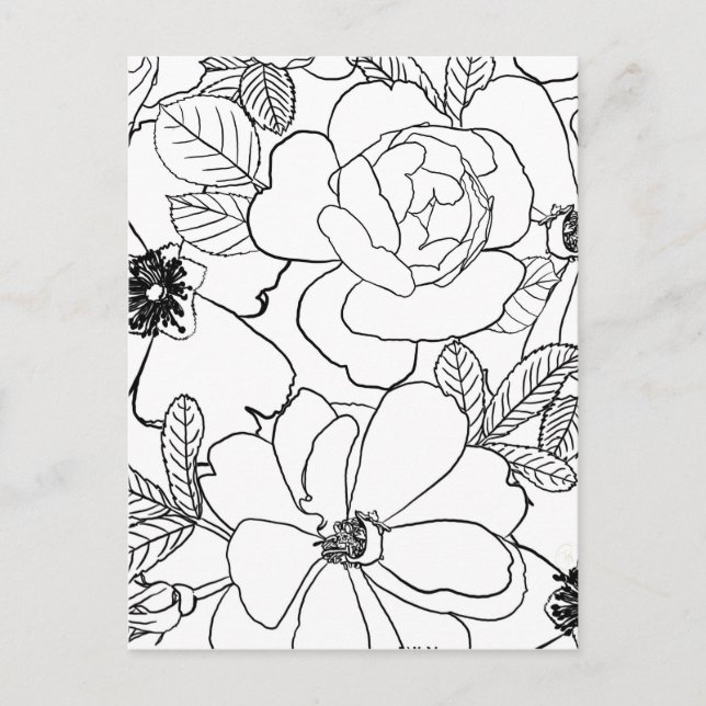Elegant Roses Floral Line Drawing design Holiday Postcard (Front)