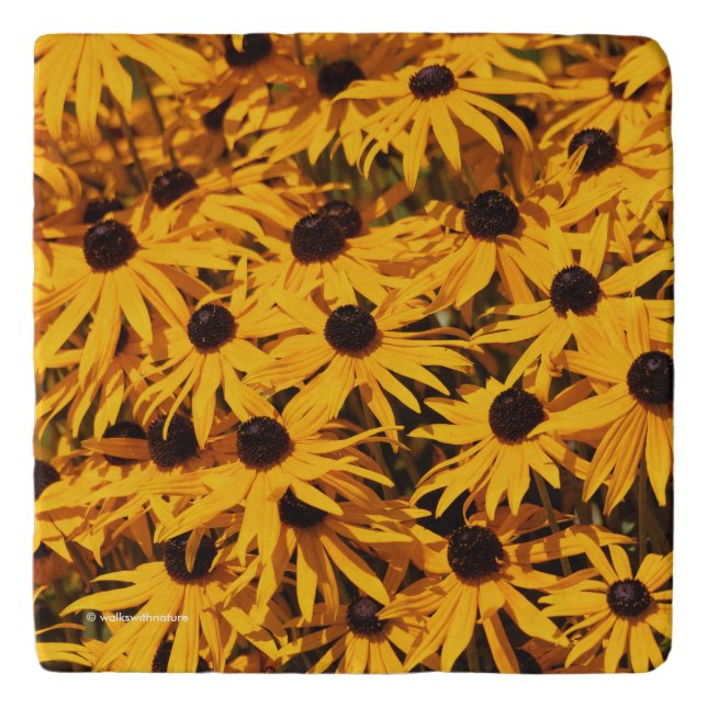Elegant Rudbeckia / Black-Eyed Susans Trivet (Front)