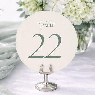 Elegant Sage Green Wedding Table Numbers 20–29