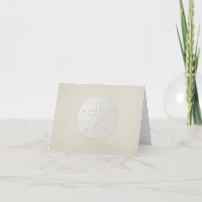 Elegant Sand Dollar Blank Note Card (Front)