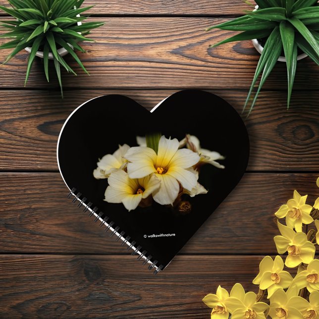 Elegant Satin Flowers on Black Notebook (Elegant Satin Flowers on Black Journal Cover Photo)