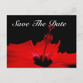 Elegant Save The Date Post Card by TheCardStore at Zazzle