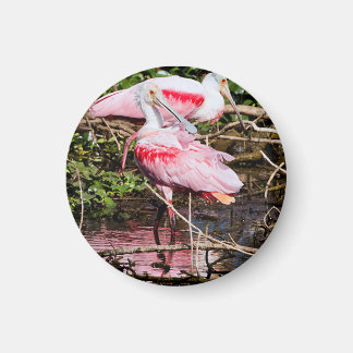 Elegant Sentinel: Spoonbill Magnet