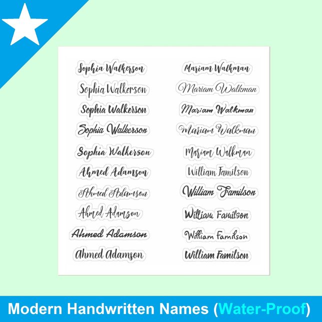 (Elegant Set of 20) Handwritten Transparent Name Sticker (personalized Stylish Name Sticker labels)