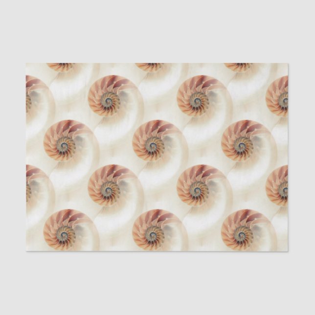 Elegant Shell Pattern Tissue Paper (Front)