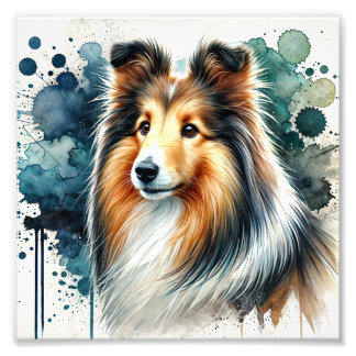 Elegant Shetland Sheepdog Watercolor Art Photo Print