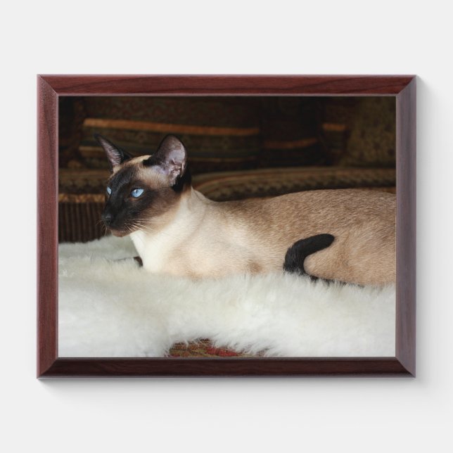 Elegant Siamese Cat Award Plaque (Horizontal)