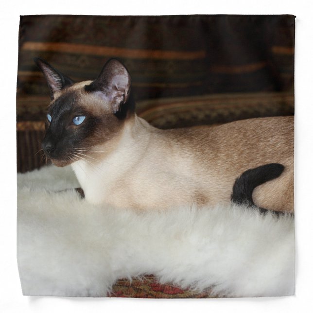 Elegant Siamese Cat Bandana (Front)