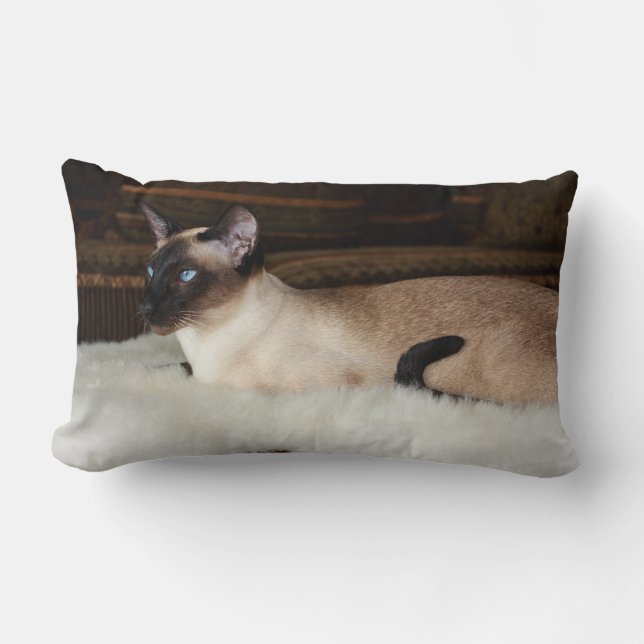 Elegant Siamese Cat Lumbar Pillow (Front)