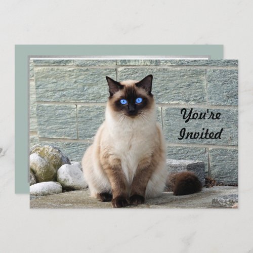 Elegant Siamese Cat Photo Birthday Invitation