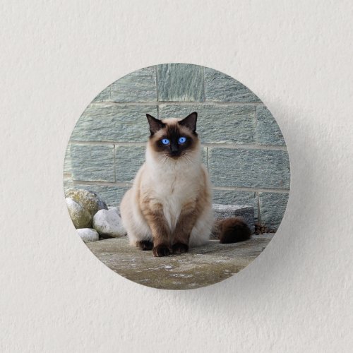 Elegant Siamese Cat Photo Button
