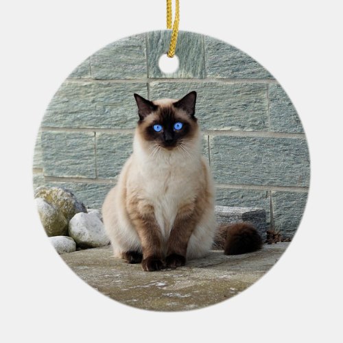 Elegant Siamese Cat Photo Ceramic Ornament