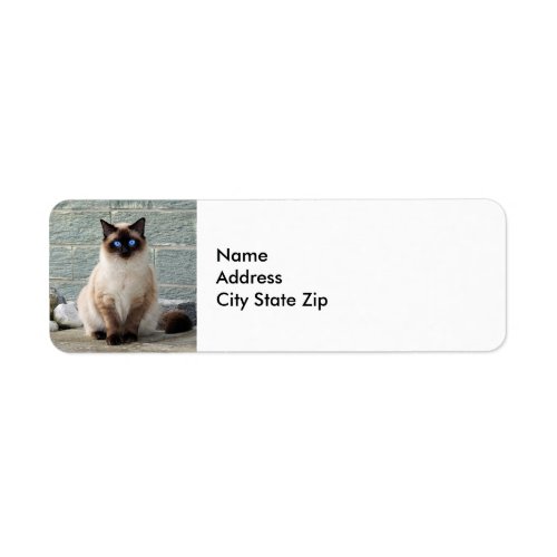 Elegant Siamese Cat Photo Label