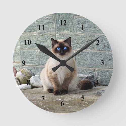 Elegant Siamese Cat Photo Round Clock