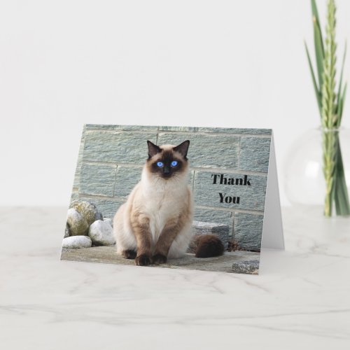 Elegant Siamese Cat Photo Thank You Card