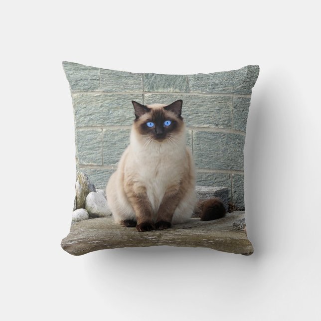 Elegant Siamese Cat Photo Throw Pillow (Front)
