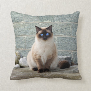 Elegant Siamese Cat Photo Throw Pillow