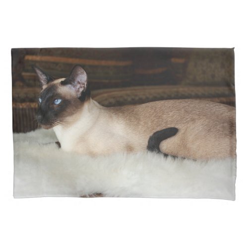 Elegant Siamese Cat Pillow Case