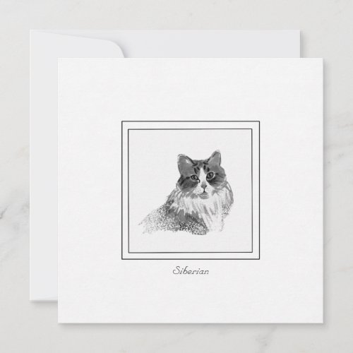 Elegant Siberian Cat Sketch in Charcoal and Chalk Note Card