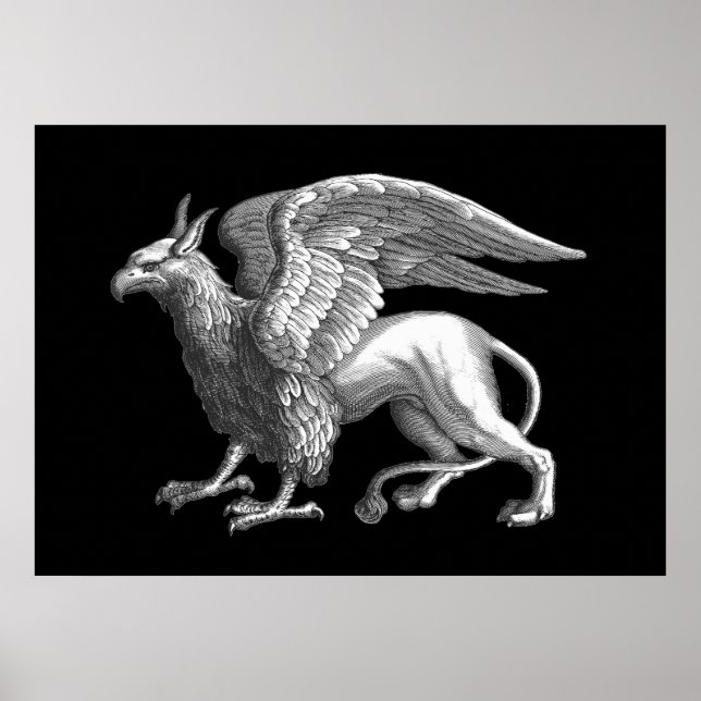 Elegant Silver Gray / Grey Griffin Legendary Beast Poster (Front)