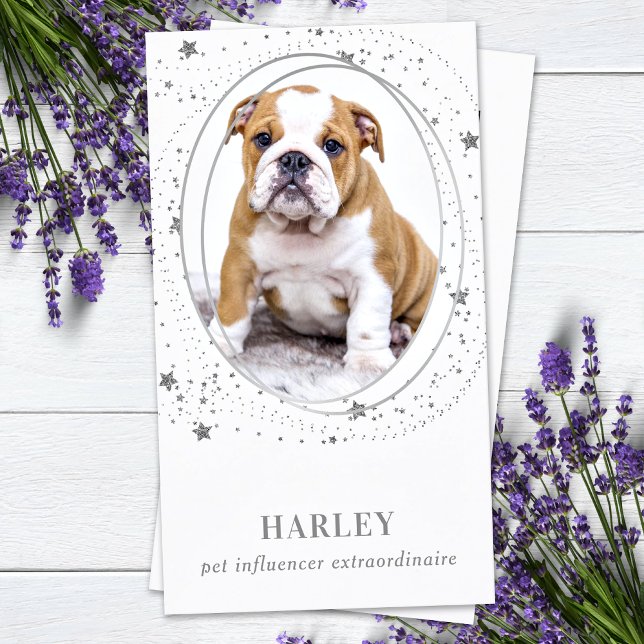 Elegant Silver Stars Custom Photo QR Social Media Business Card (Creator Uploaded)