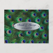 elegant silver teal peacock save the date announcement postcard