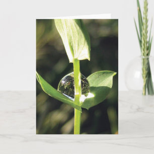Elegant, Simple, Clover with Dew Nature Card
