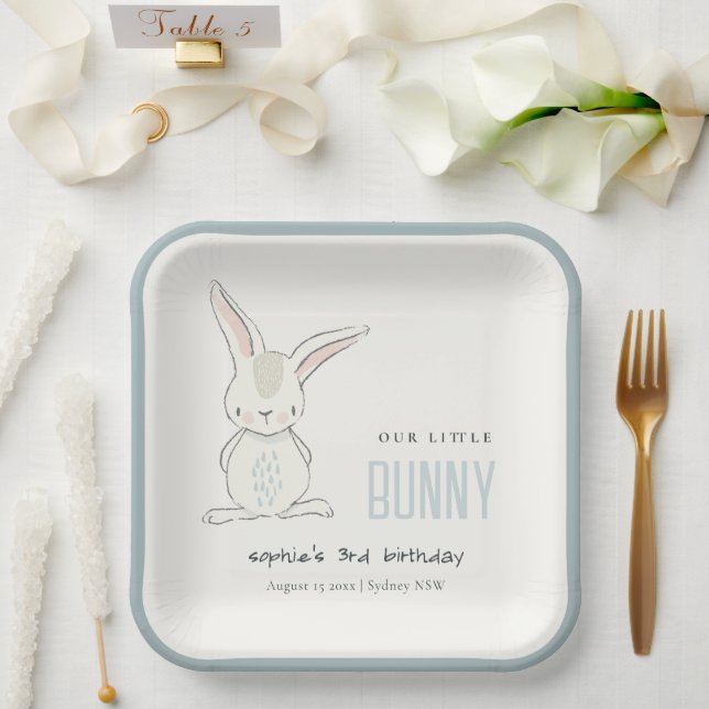 Elegant Simple Cute Blue Bunny Boys Kids Birthday Paper Plates (Wedding)