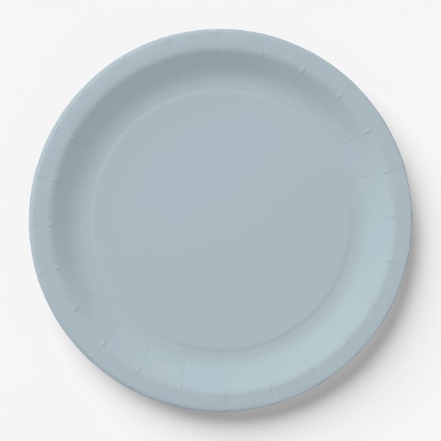 Elegant Simple Gray Wedding Party Paper Plate (Front)