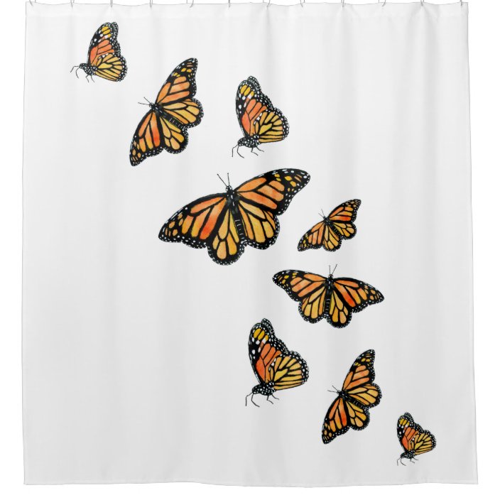 Elegant simple monarch butterfly shower curtain
