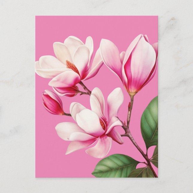 Elegant Simple Pink Flower Floral Art Postcard (Front)