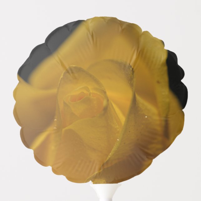 Elegant Single Yellow Rose Close Up 50th Birthday Balloon (Front)